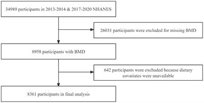 Is bone mineral density in middle-aged and elderly individuals associated with their dietary patterns? A study based on NHANES